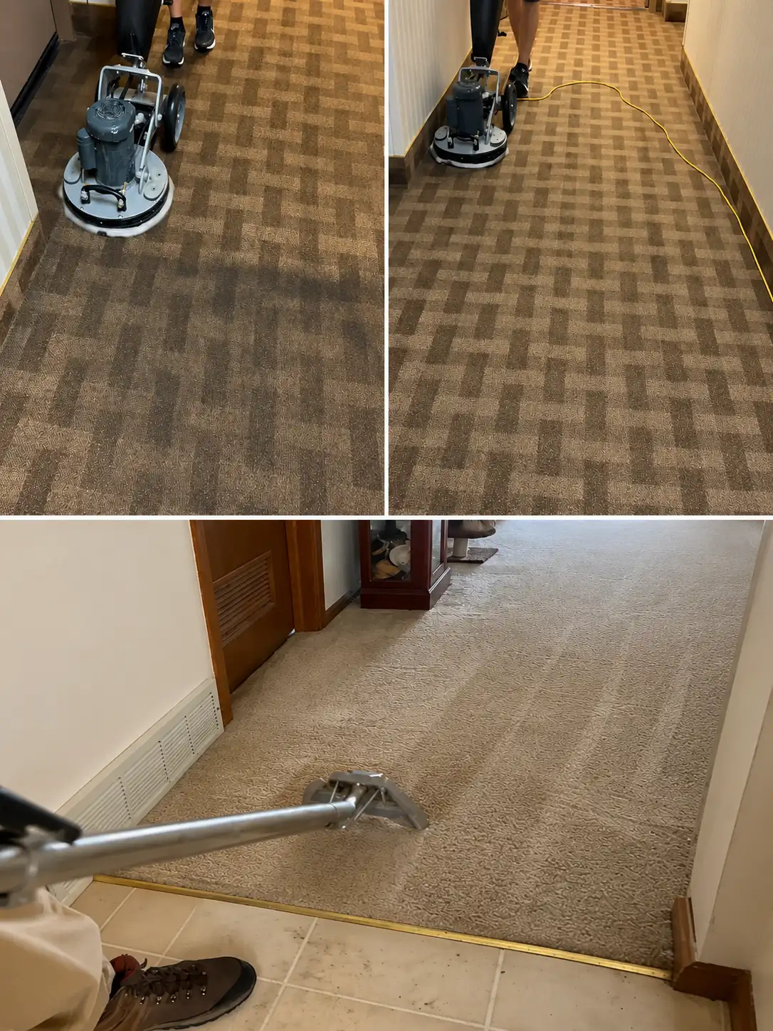 Professional truck-mounted hot water extraction carpet cleaning Missoula MT